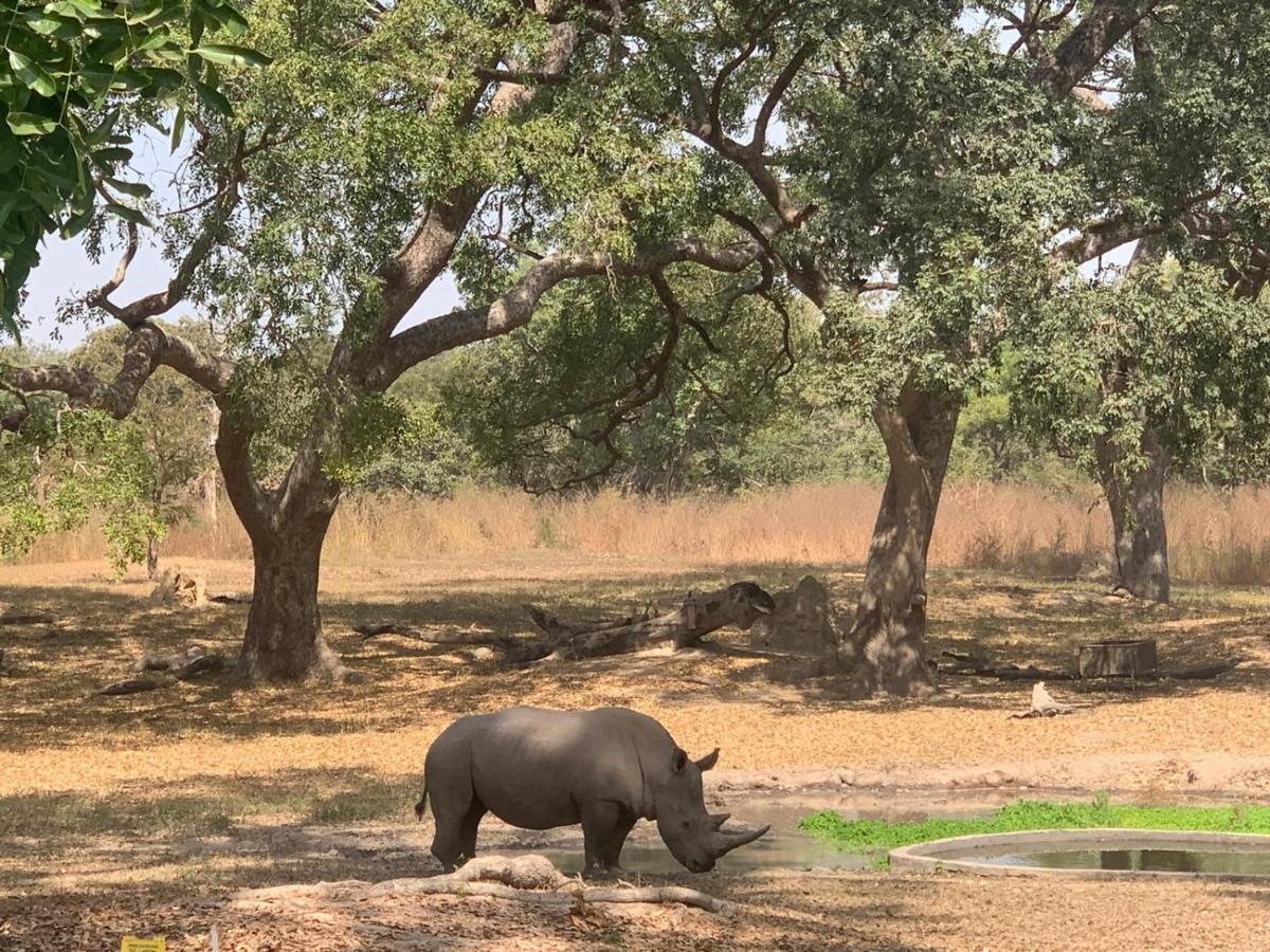 فيلا Pombo Kunda Sanyang المظهر الخارجي الصورة