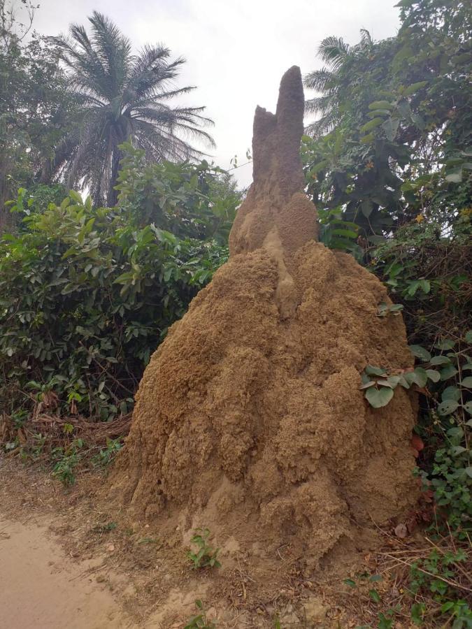 فيلا Pombo Kunda Sanyang المظهر الخارجي الصورة