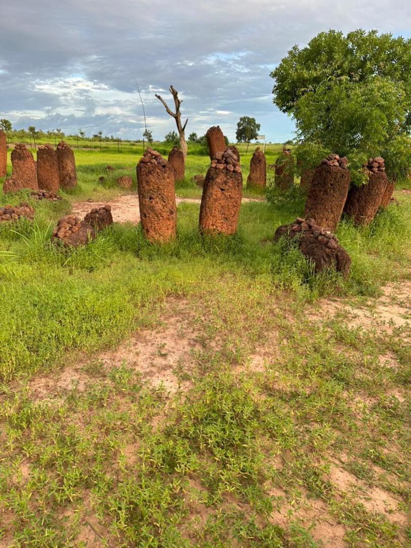 فيلا Pombo Kunda Sanyang المظهر الخارجي الصورة