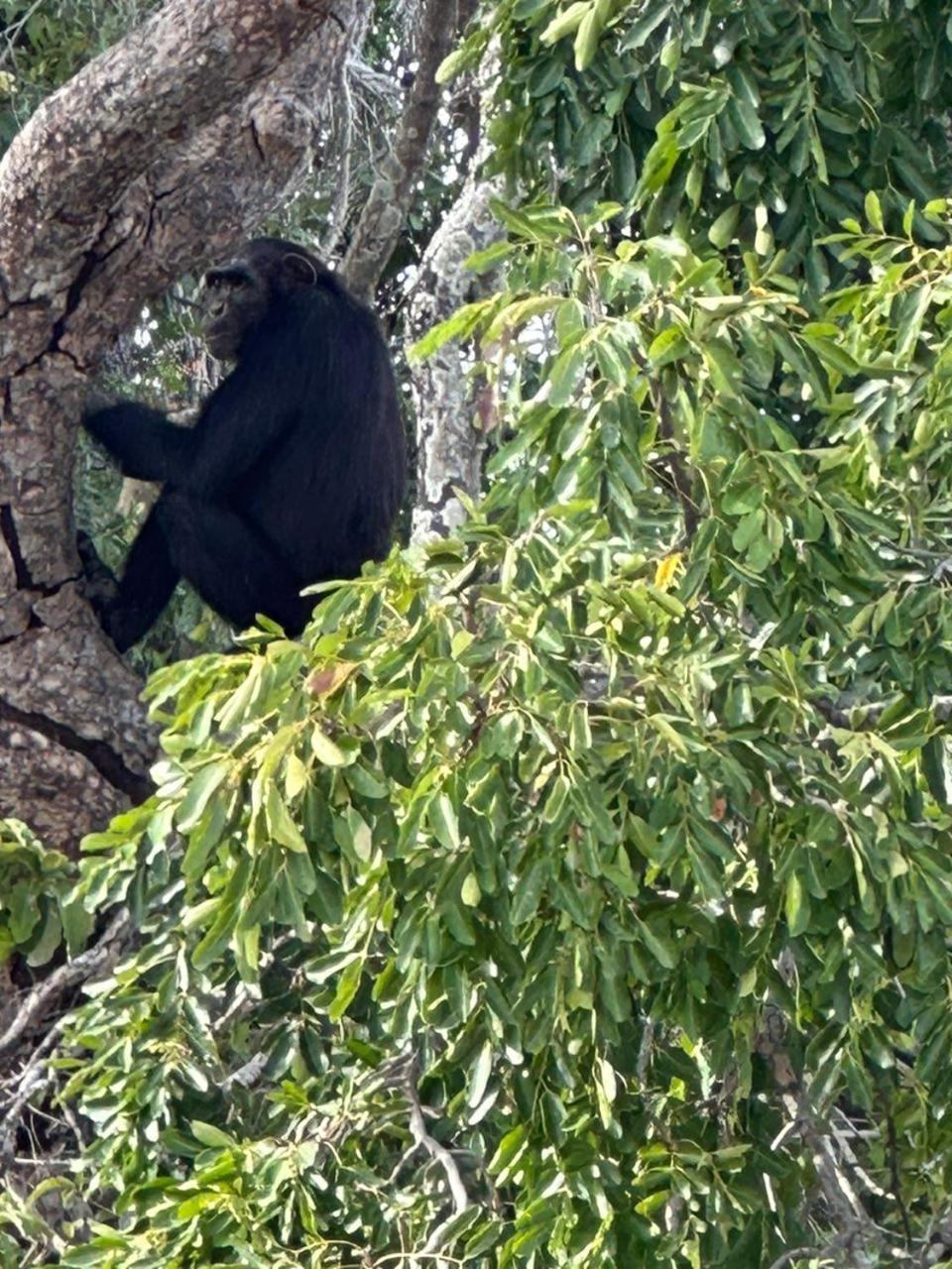 فيلا Pombo Kunda Sanyang المظهر الخارجي الصورة